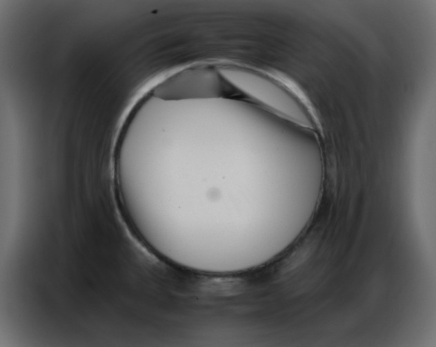 X0000086741335200705041400