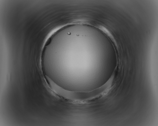 X0000086741336200705041400