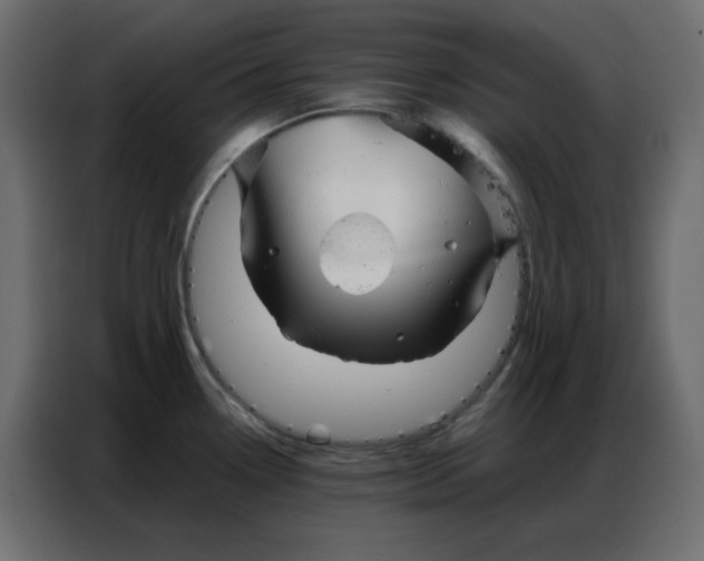 X0000086741338200705041400