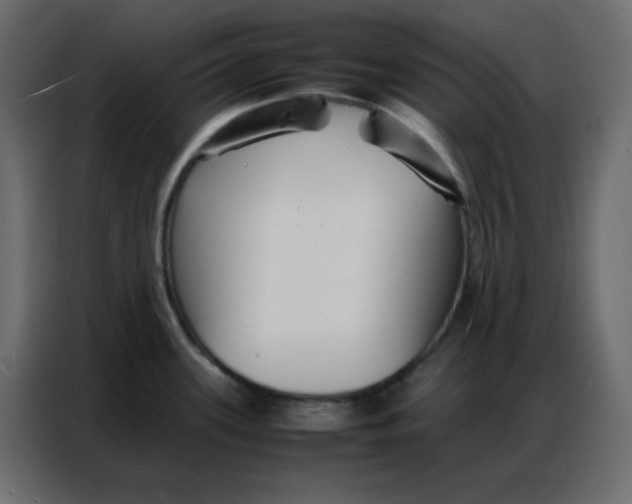 X0000086741339200705041400