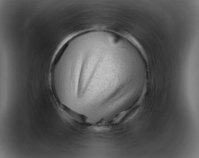 X0000086741340200705041400