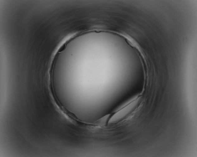 X0000086741341200705041400