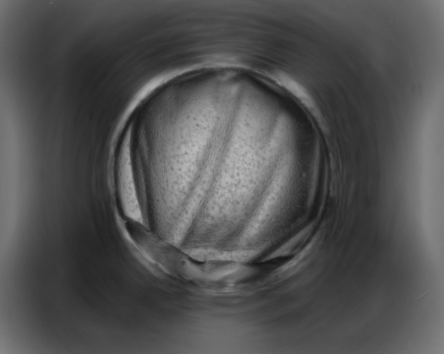 X0000086741342200705041400