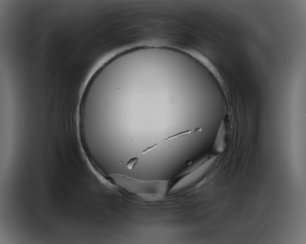 X0000086741343200705041400