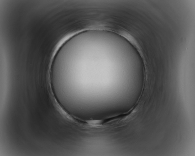 X0000086741344200705041400