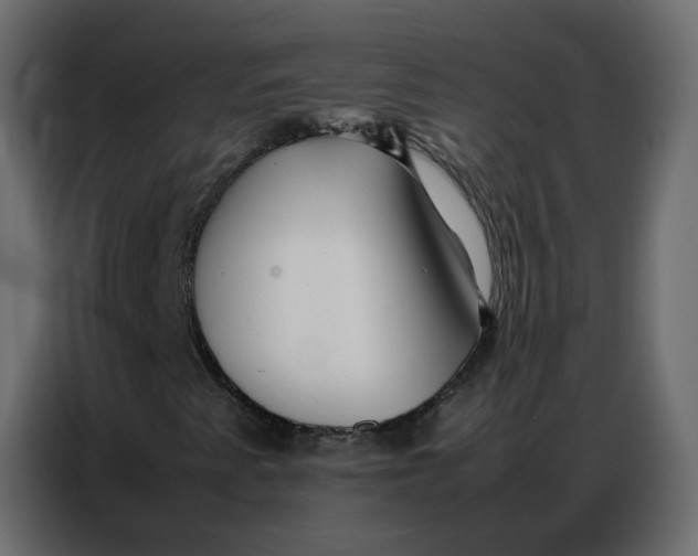 X0000086741345200705041359