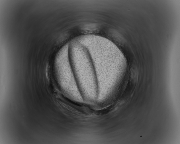 X0000086741346200705041359