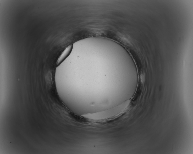 X0000086741347200705041359