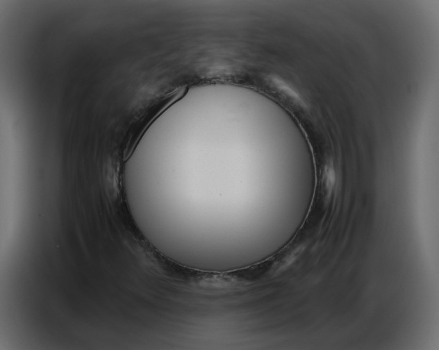 X0000086741348200705041359