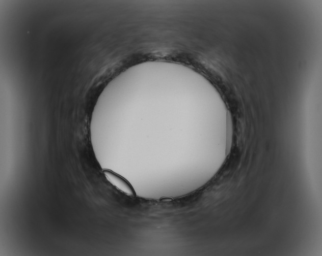 X0000086741349200705041359