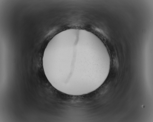 X0000086741350200705041359