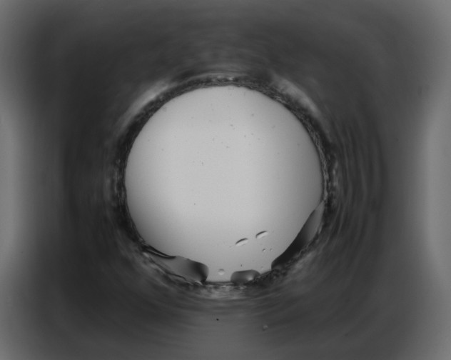 X0000086741352200705041359