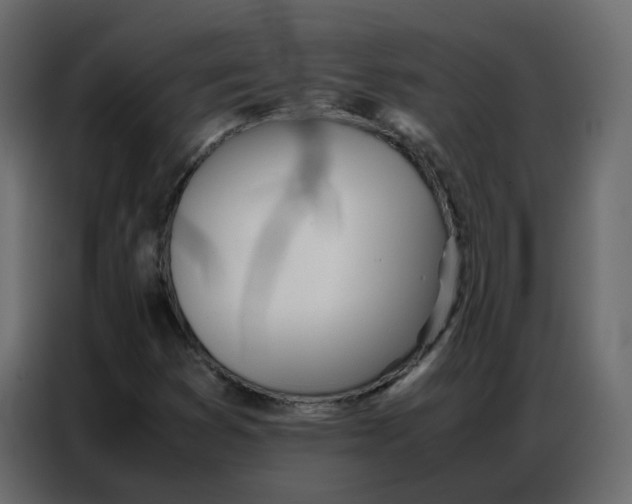 X0000086741353200705041359