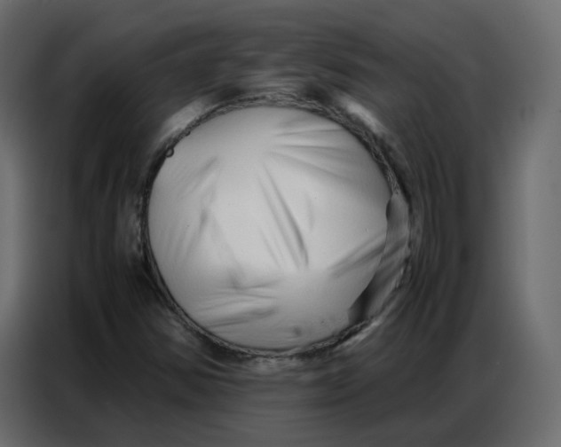 X0000086741354200705041359