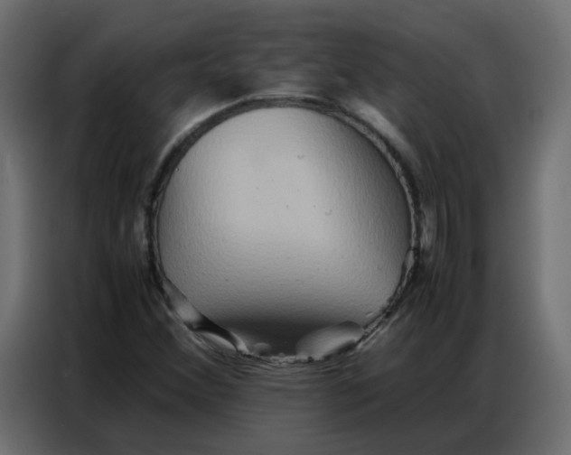 X0000086741356200705041359