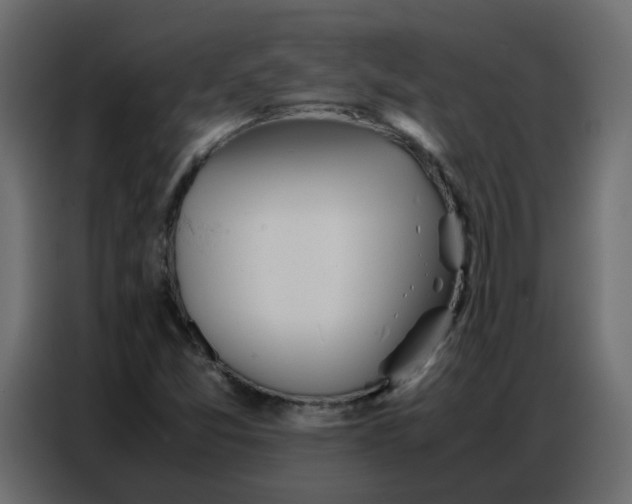 X0000086741357200705041359