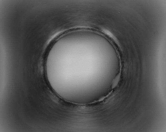 X0000086741360200705041359