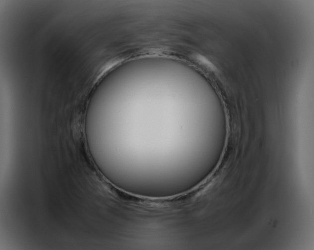 X0000086741361200705041359