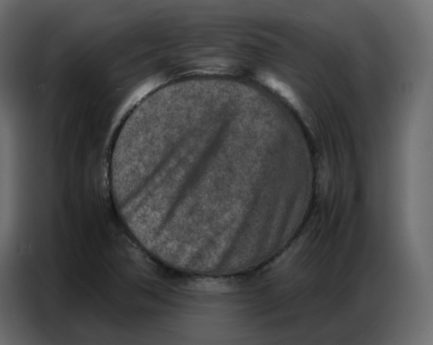 X0000086741362200705041359