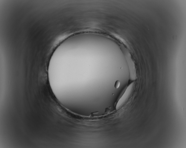 X0000086741363200705041359