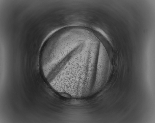 X0000086741364200705041359