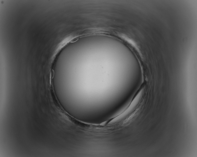 X0000086741365200705041359