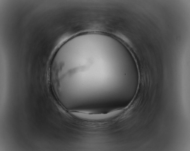 X0000086741366200705041359