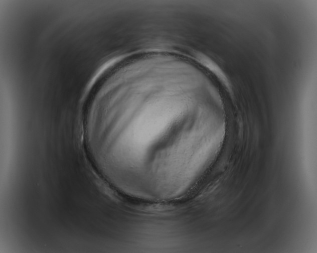 X0000086741368200705041359