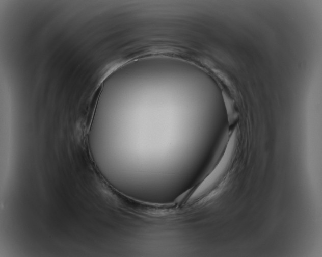 X0000086741369200705041359