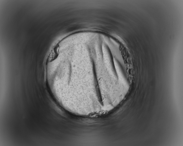 X0000086741371200705041359