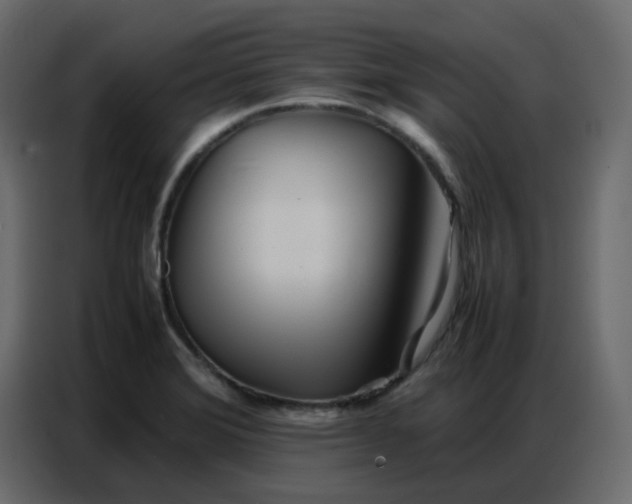 X0000086741372200705041359