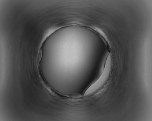 X0000086741373200705041359