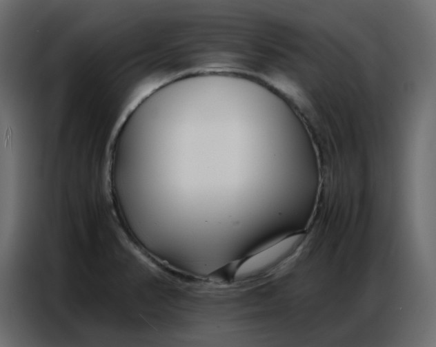 X0000086741374200705041359