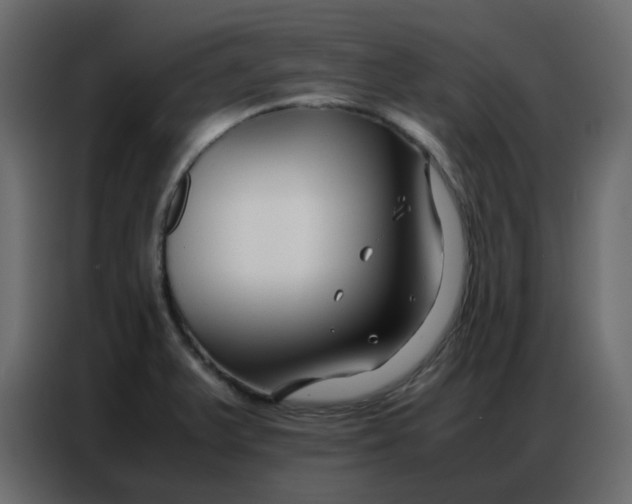 X0000086741375200705041359