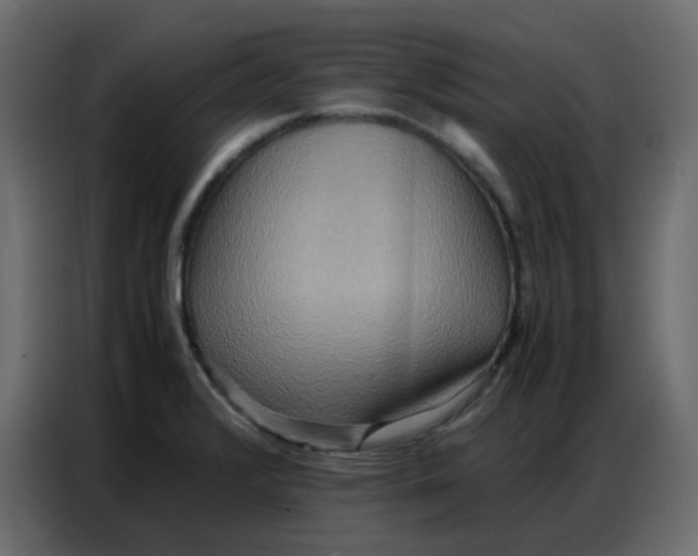 X0000086741376200705041359