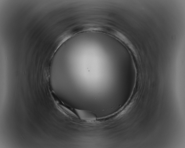 X0000086741377200705041359