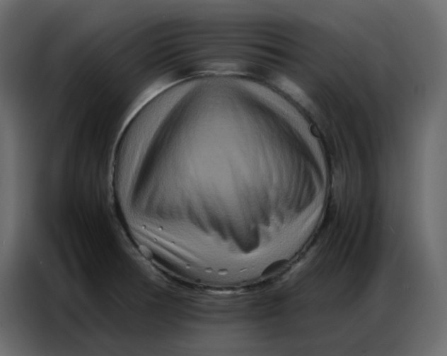 X0000086741378200705041359