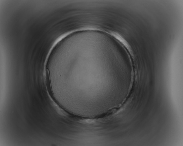 X0000086741380200705041359