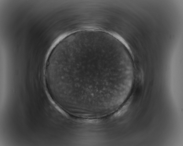 X0000086741381200705041359