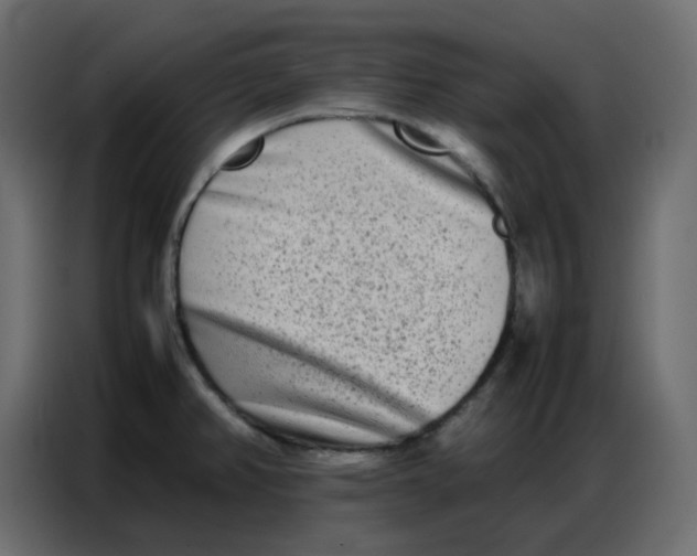 X0000086741382200705041359