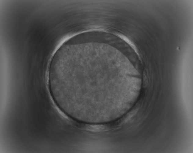 X0000086741383200705041359