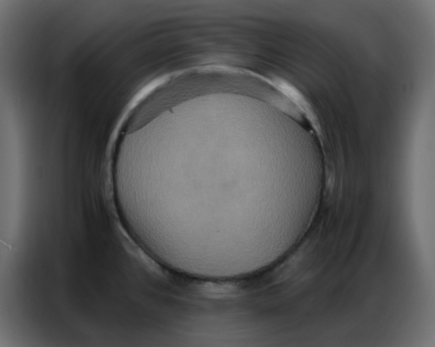 X0000086741384200705041359