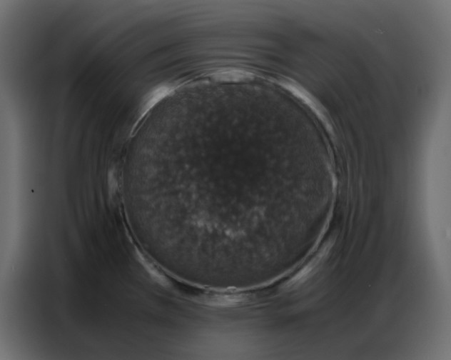 X0000086741385200705041359