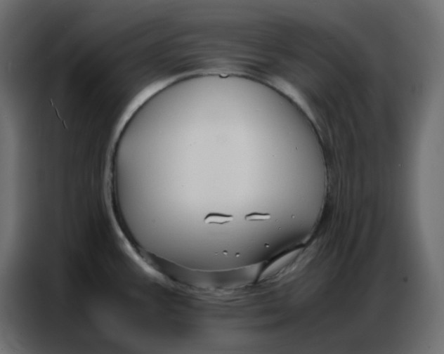 X0000086741387200705041359