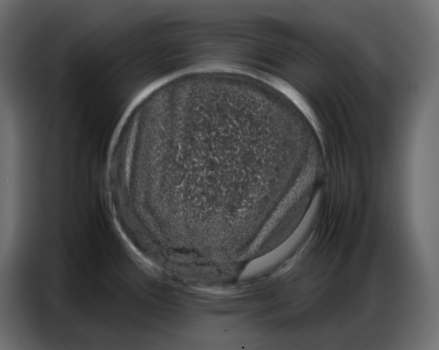 X0000086741388200705041359