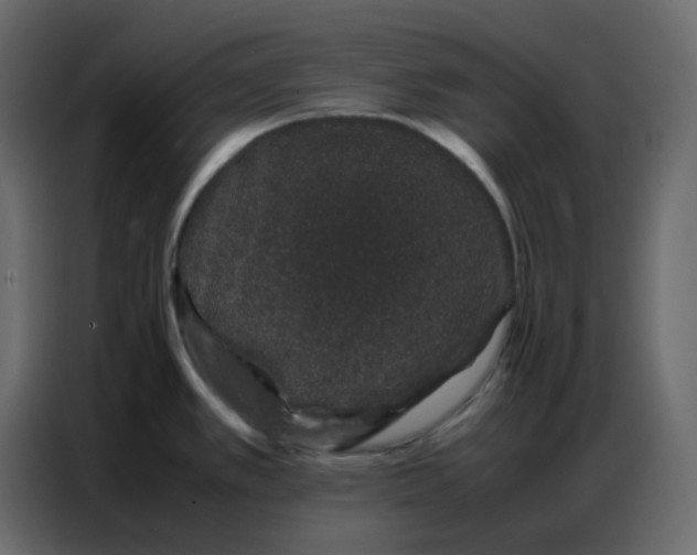 X0000086741389200705041359