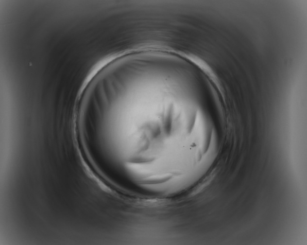 X0000086741390200705041359