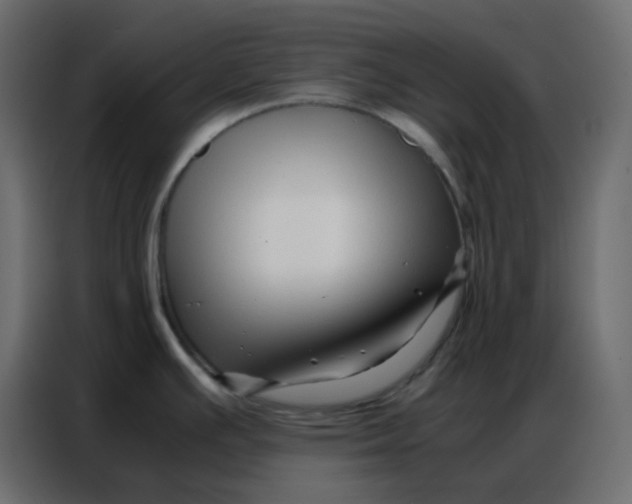 X0000086741391200705041359