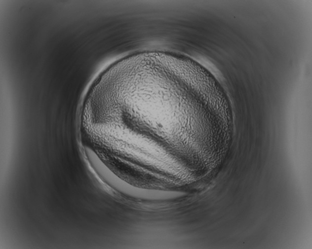 X0000086741392200705041359