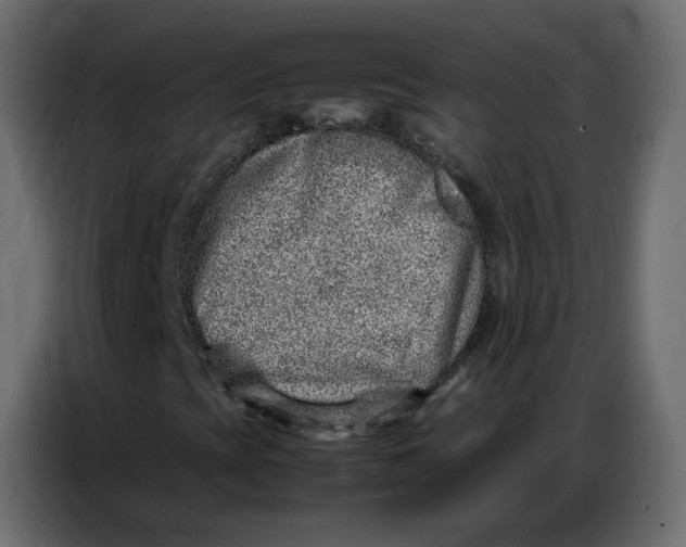 X0000086741393200705041358